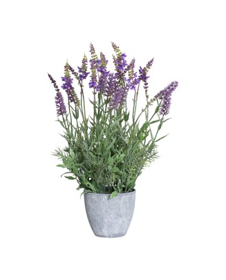 Lavanda in ghiveci, mov, 45 cm - SIMONA'S COOKSHOP